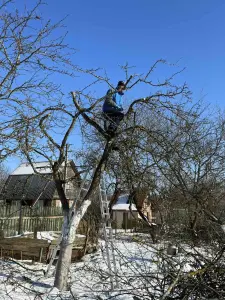 Услуги садовника.