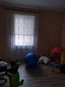 Дом с удобствами д. Стайки
