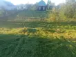 Шех Елена Николаевна