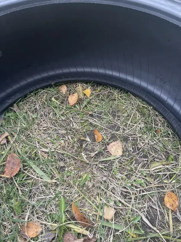 Шины Nokian R18