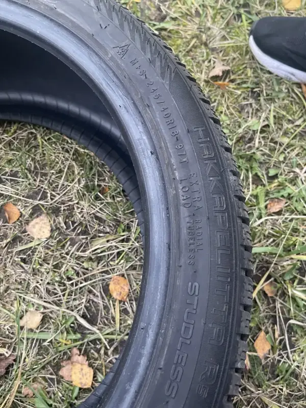 Шины Nokian R18