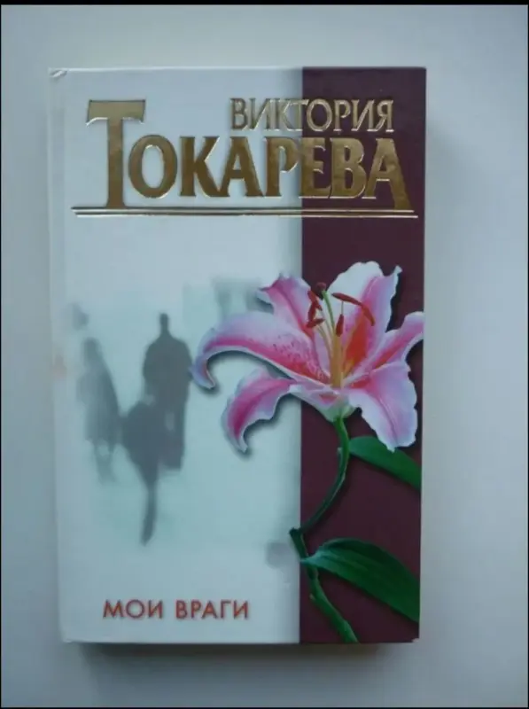 Мои враги. Книга