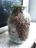 Жмых смородины белой и красной, крыжовника красного высушенный