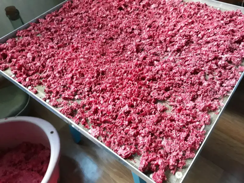Жмых смородины белой и красной, крыжовника красного высушенный