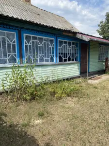 Дом Речицкий район