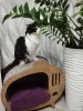 Домик для кота