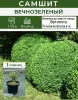Саженцы самшита
