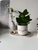 Кашпо для суккулентов ручной работы