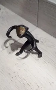 Обезьяна Касли