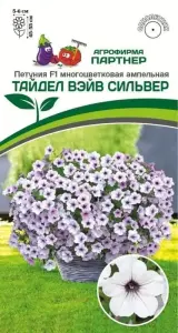 Продаю рассаду петуний