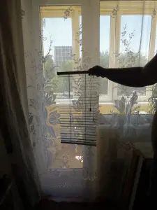 Жалюзи