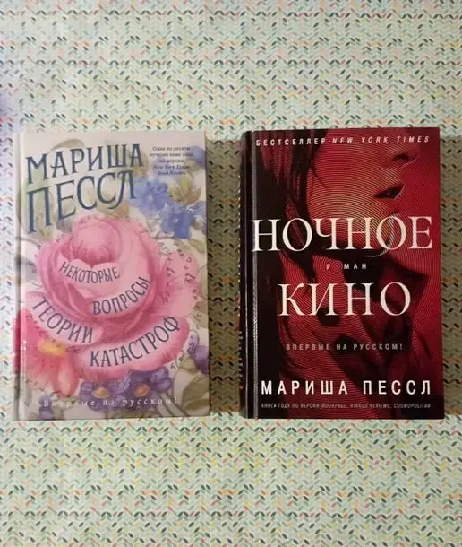 Мариша Пессл ''Некоторые вопросы теории катастроф"