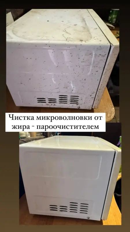 аренда пароочиститель