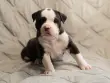 user_57534