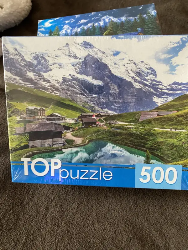 Пазлы TOPpuzzle 500шт