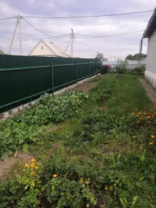 Дом