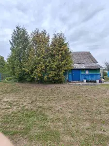 Дом  деревня Красное