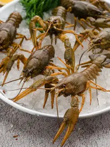 Раки