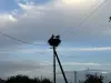 Дача в Минской области