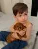 Элитные мини и микро мальтипу и той пудель Тэдди Китай