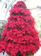 user_56638