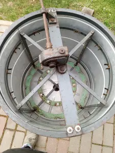 Медогонка радиальная