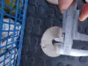 Пилы по дереву разные