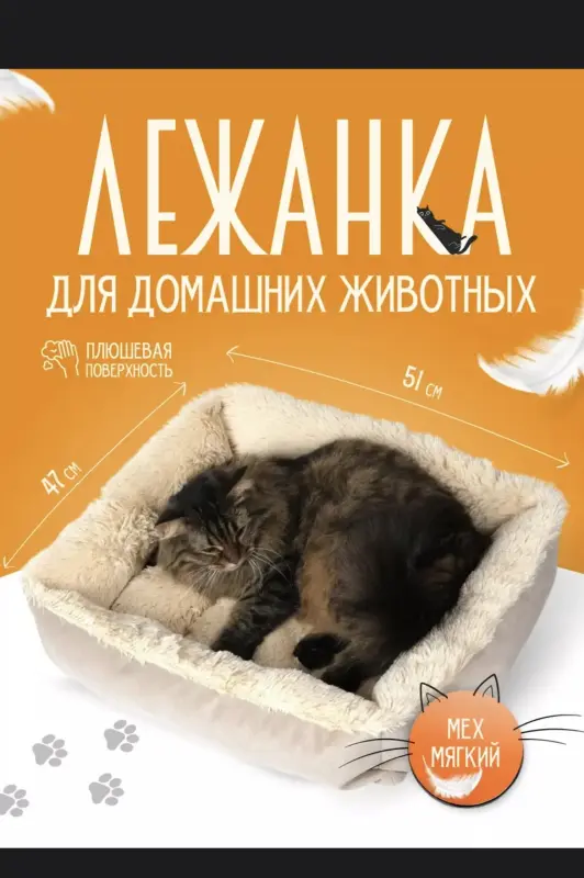 Шотландская кошечка