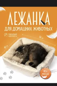 Шотландская кошечка