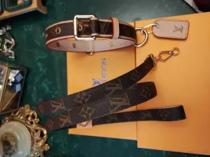 Ошейник LV Louis Vuitton с поводком