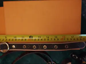 Ошейник LV Louis Vuitton с поводком