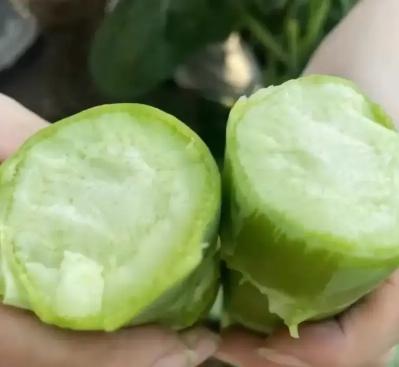 Китайская брокколи капуста. Семена.