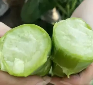 Китайская брокколи капуста. Семена.