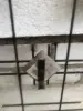Вешалка Настенная для Одежды