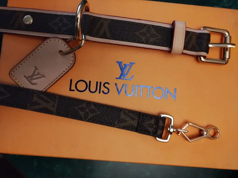 Ошейник LV Louis Vuitton с поводком