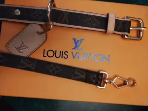 Ошейник LV Louis Vuitton с поводком