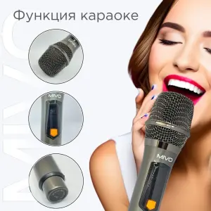 Мощная 1200 Вт караоке Bluetooth колонка Mivo MD-653 + 2 микрофона