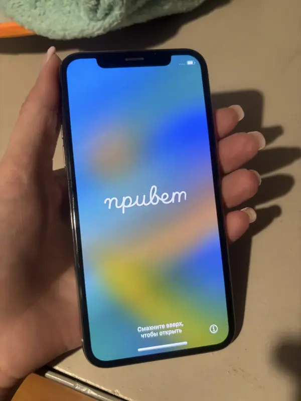 iPhone X