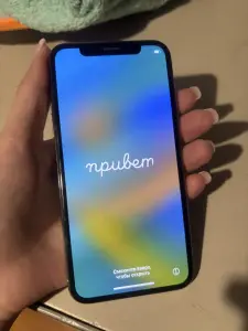 iPhone X