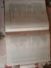 НОВЕЙШАЯ ЭНЦИКЛОПЕДИЯ ОЧИЩЕНИЕ ОРГАНИЗМА