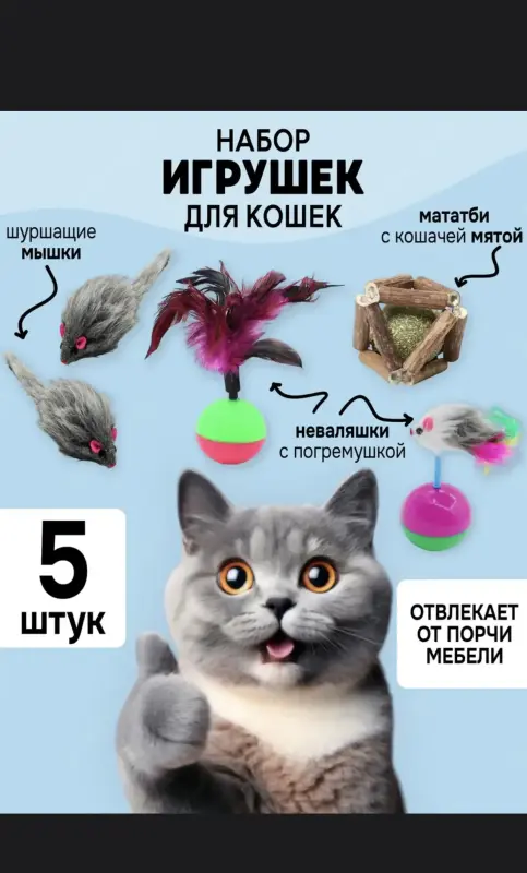 Шотландская кошечка