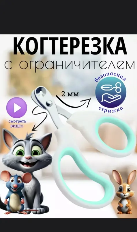 Шотландская кошечка