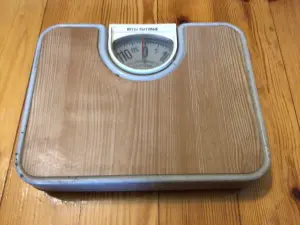 Весы Механические 1-120 кг