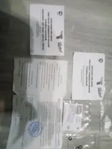 Пневмат