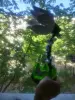 Цветы