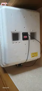 Инкубатор для яиц