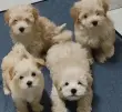 7657