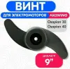 Лодочный электромотор Haswing Osapian 30 lbsс аккумулятором на 100ah