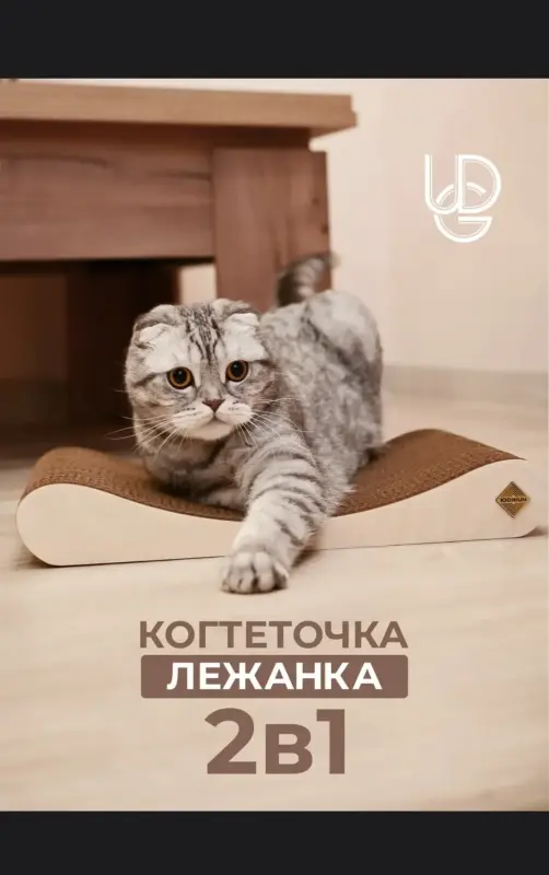 Шотландская кошечка