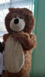 Ростовой костюм медведь